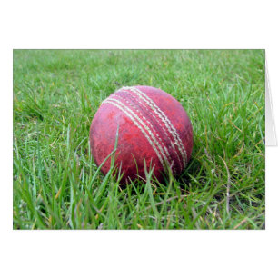 Cricket Ball