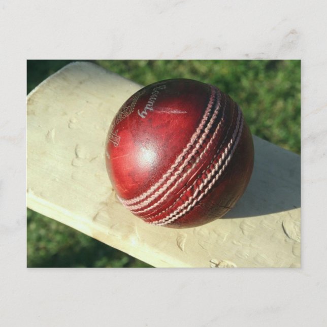 cricket-ball-and-bat.jpg postcard (Front)