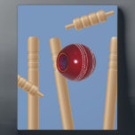 Cricket Ball And Stumps, Plaque<br><div class="desc">Cricket, Stumps, ball,  Pictured is a cricket ball smashing its way through stumps.</div>