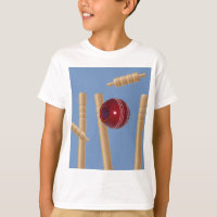 Cricket Ball And Stumps,