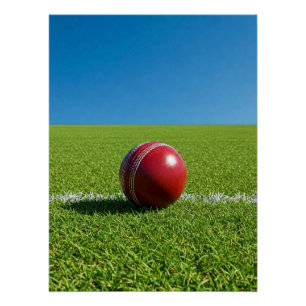 Cricket Ball on Boundary Mark Poster