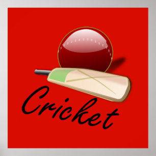 Cricket bat and ball, labelled, poster