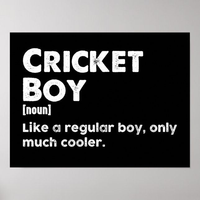 Cricket Boy Funny Definition Cricket Lover Poster (Front)