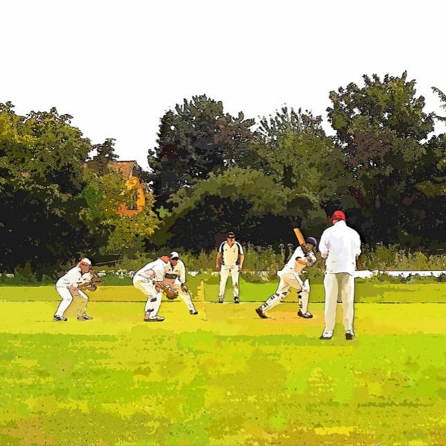 CRICKET CUSHION (Creator Uploaded)