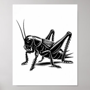 Cricket Dad Mom Lover - Monochromatic Cricket 1  Poster
