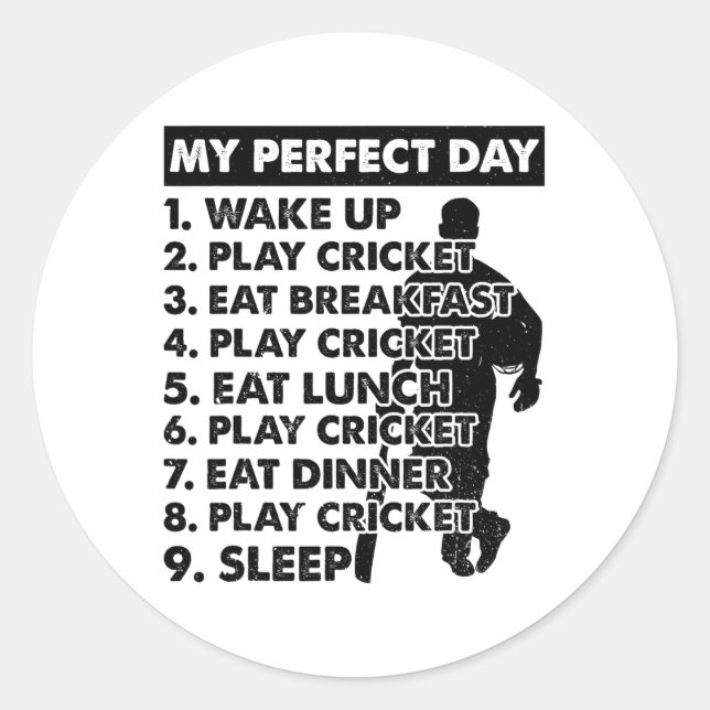 Cricket Day Plan Cricket Player  Classic Round Sticker (Front)