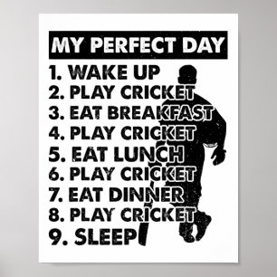 Cricket Day Plan Cricket Player  Poster