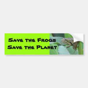 Cricket Frog Bumper Sticker