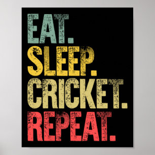 Cricket Game Gifts Eat Sleep Cricket Repeat Vintag Poster