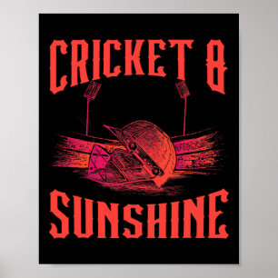 Cricket Game Sports Cricket Player Cricket And Sun Poster