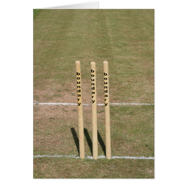 Cricket ground at Bickleigh, Devon, UK (Front)