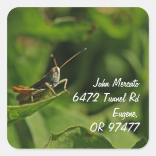 cricket home address labels