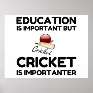 CRICKET IS IMPORTANTER POSTER