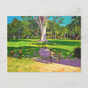 Cricket match Botanical Gardens Dominica Postcard
