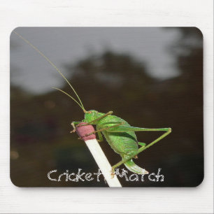 Cricket Match Mouse Mat