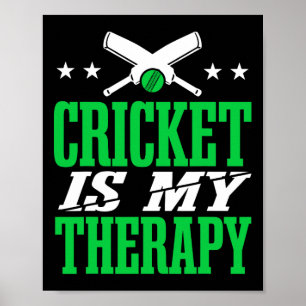 Cricket Men Cricket Player Poster