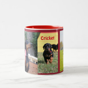 Cricket Mug