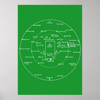 CRICKET PITCH POSITIONS Fielding Positions Diagram Poster