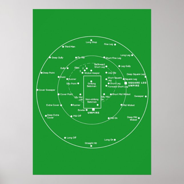 CRICKET PITCH POSITIONS Fielding Positions Diagram Poster (Front)