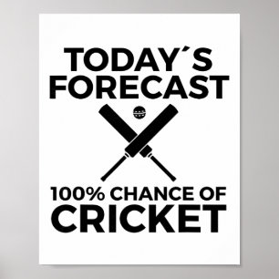 Cricket Player 10 Poster