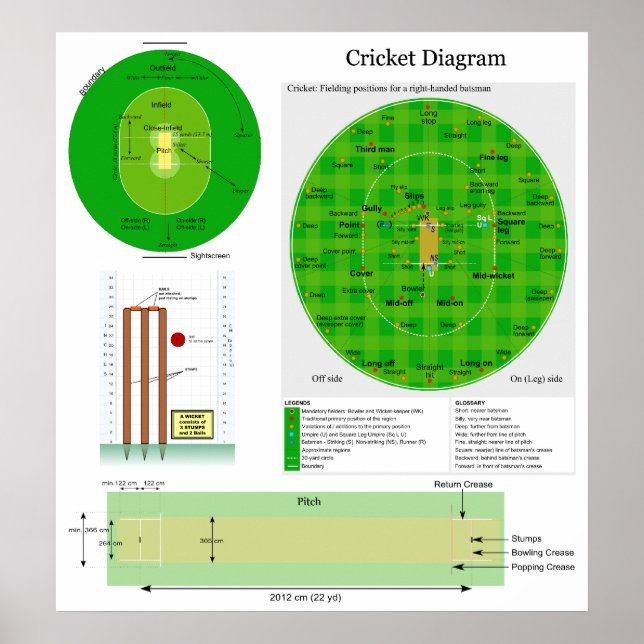 Cricket Position Field Pitch and Wicket Diagram Poster (Front)