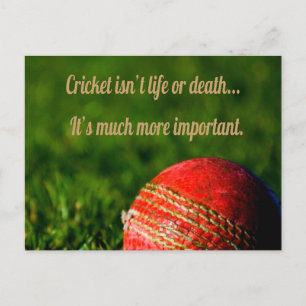 Cricket Red Ball Funny Motivational Postcard