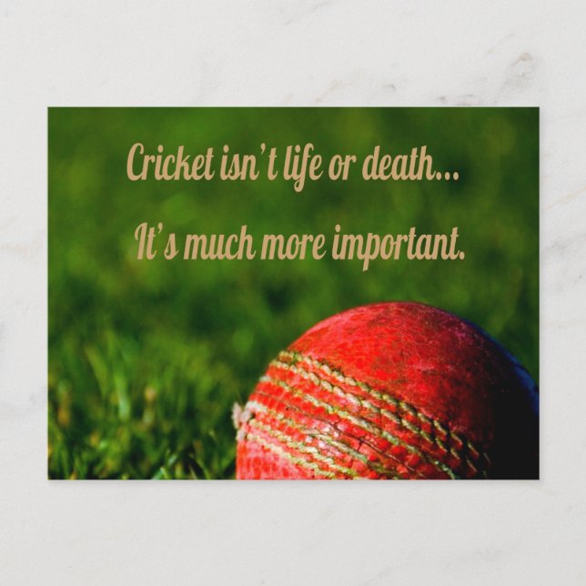 Cricket Red Ball Funny Motivational Postcard (Front)