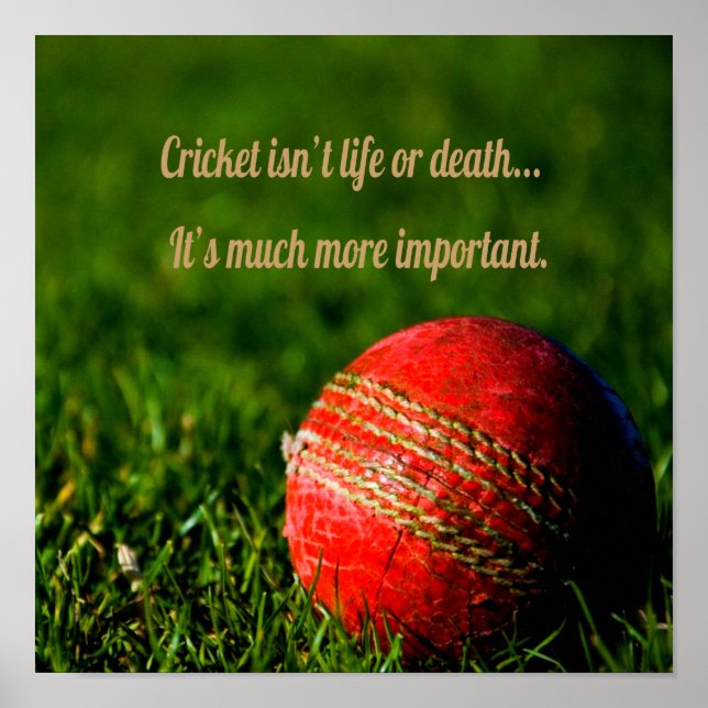 Cricket Red Ball Funny Motivational Poster (Front)