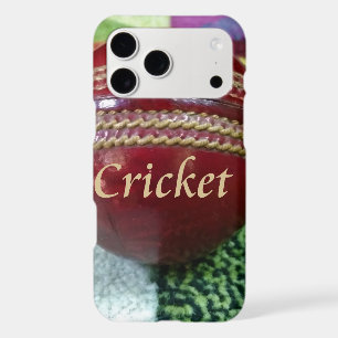 Cricket: Red Hard Ball Art Print