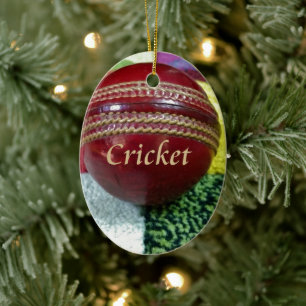 Cricket: Red Hard Ball Art Print Ceramic Tree Decoration