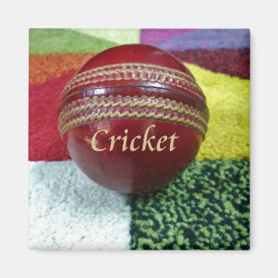 Cricket: Red Hard Ball Art Print Magnet