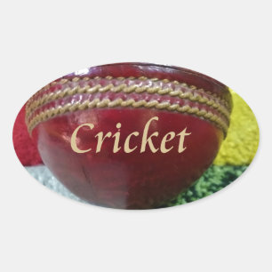 Cricket: Red Hard Ball Art Print Oval Sticker