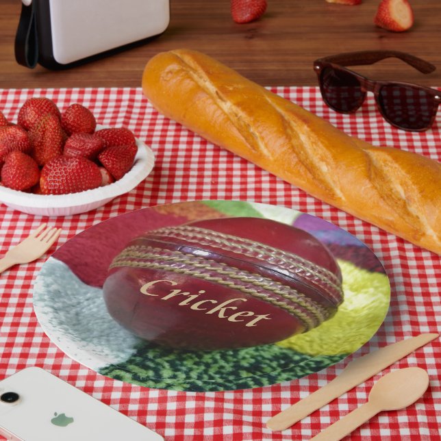 Cricket: Red Hard Ball Art Print Paper Plate (Picnic)