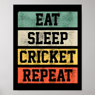 Cricket Retro Vintage Player Coach Gifts For Sport Poster
