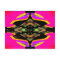 CricketDiane Extreme Design Extreme Geometry