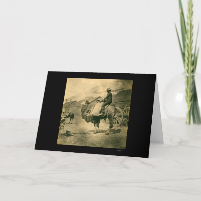 Crimean War Soldier on a Camel 1855 Card (Front)