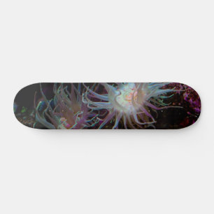 Crimson Anemone Skateboard