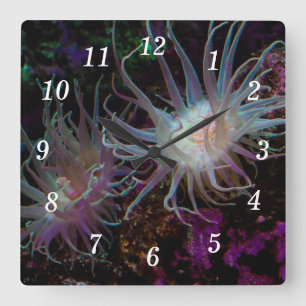 Crimson Anemone Wall Clock