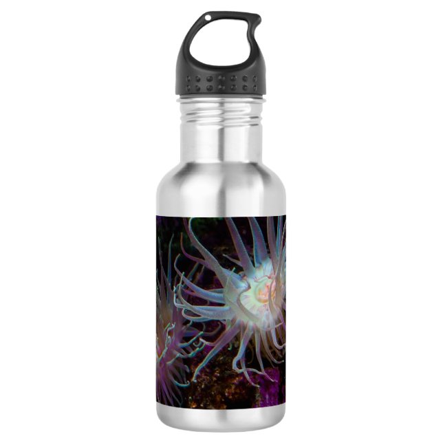 Crimson Anemone Water Bottle (Front)