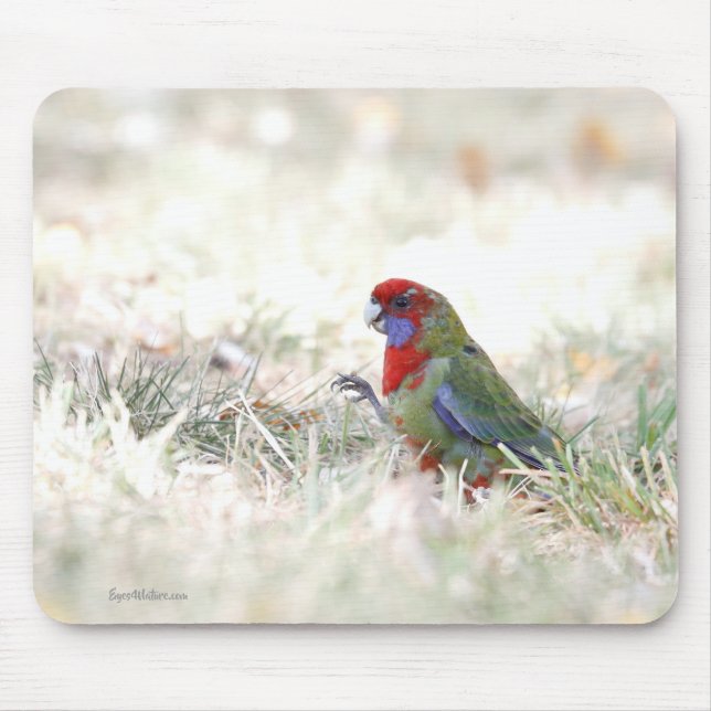 Crimson Beauty Mouse Mat (Front)