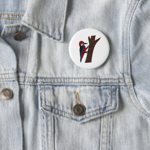 Crimson Bellied Woodpecker 6 Cm Round Badge