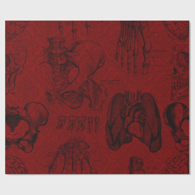 Crimson & Black Skeletons Anatomy  Wrapping Paper (Flat)