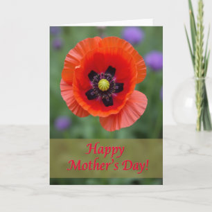 Crimson Bloom Floral Card