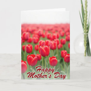 Crimson Bloom Message Card
