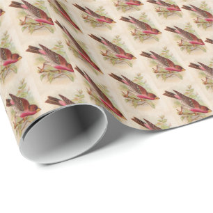 Crimson Fronted Finch Wrapping Paper