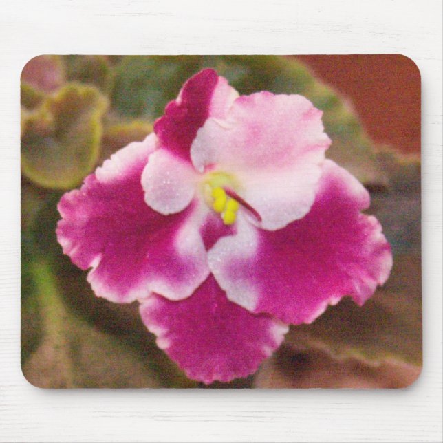 Crimson Ice African Violet Mouse Mat (Front)