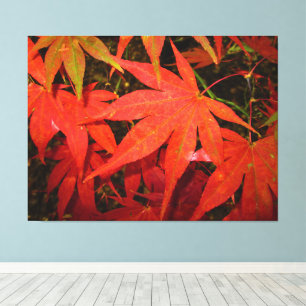 Crimson Maple Leaves - Canvas Print
