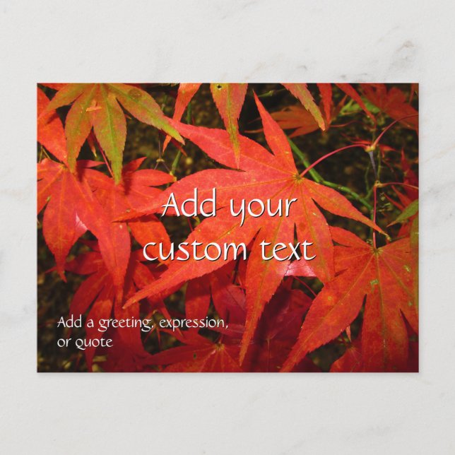 Crimson Maple Leaves - Personalised Postcard (Front)