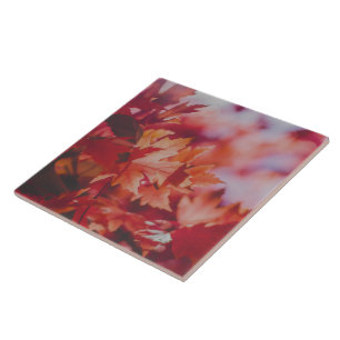Crimson Maple Reverie Decorative Ceramic Tile