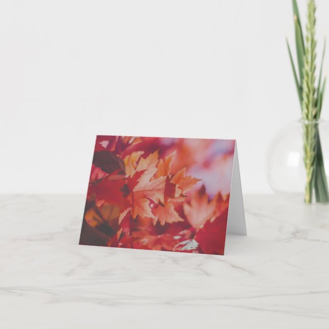 Crimson Maple Reverie Note Card (Front)